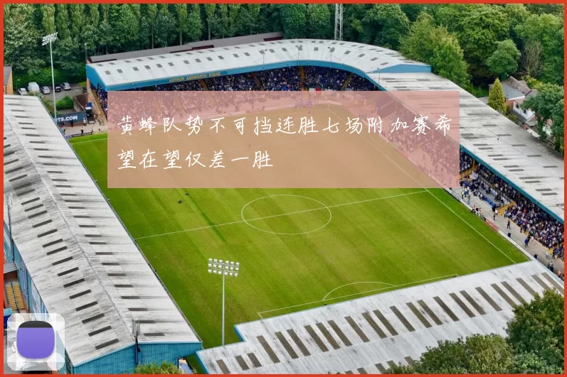 黄蜂队势不可挡连胜七场附加赛希望在望仅差一胜